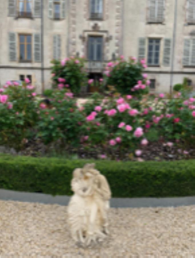 Chateau Pont Jarno B&B Champdeniers Eksteriør billede