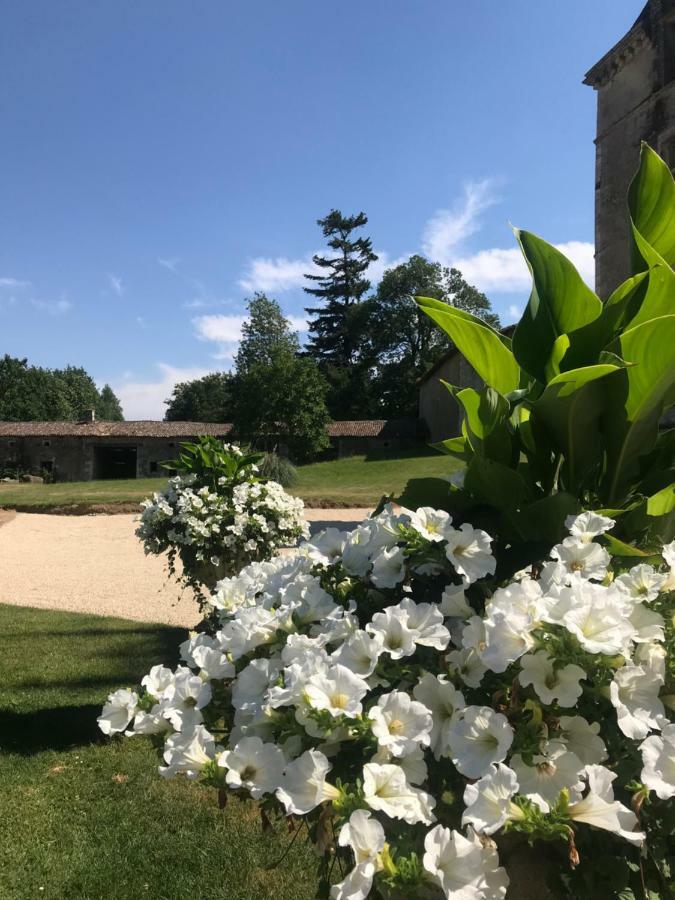 Chateau Pont Jarno B&B Champdeniers Eksteriør billede